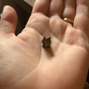 Retired Pandora Dog Charm